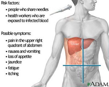 hepatitis c and liver