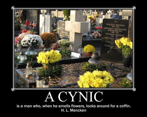 Cynicism